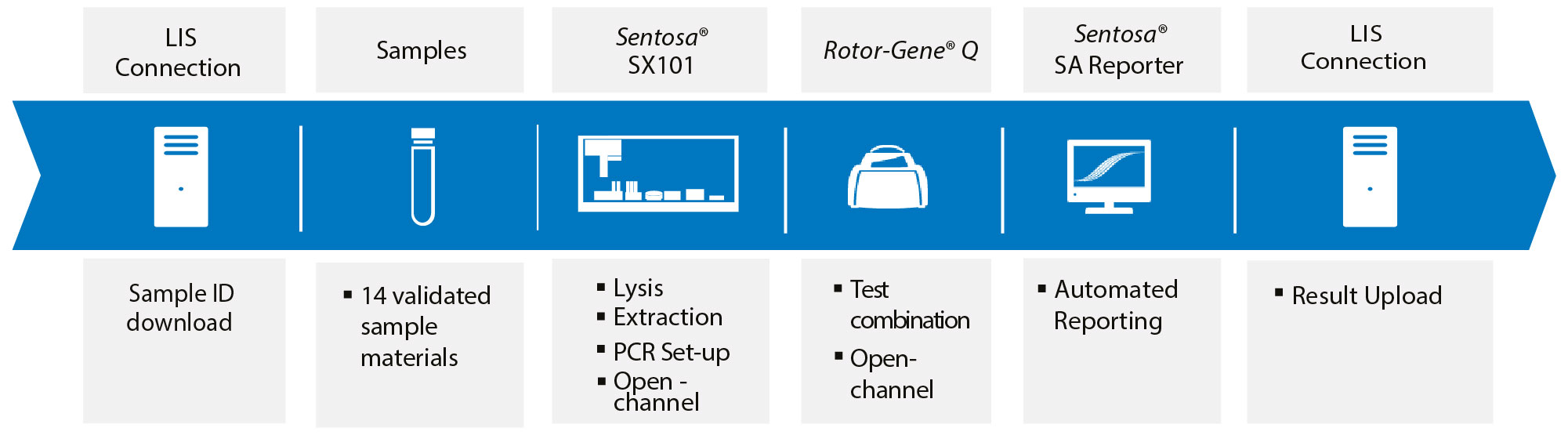 Improve Your Testing Efficiency With Vela Diagnostics Real Time Pcr Workflow Vela Diagnostics